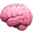 brain-icon
